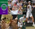 2011 Wimbledon şampiyonu Novak Djokovic